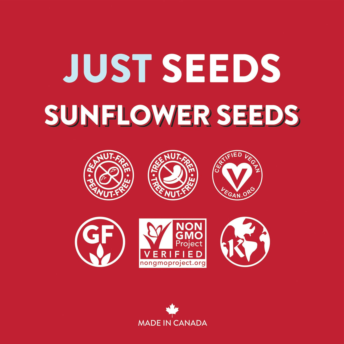Sunflower Seeds - Just Seeds